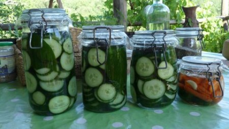 Bien conserver les courgettes dans les bocaux